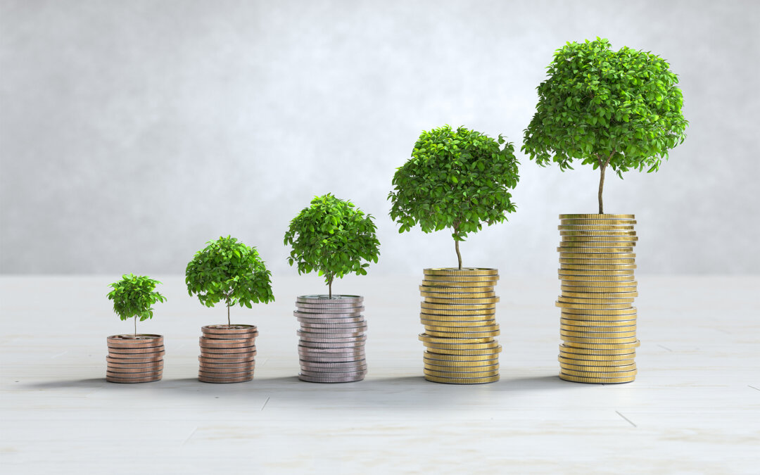 Investir em ESG não é apenas uma questão de responsabilidade social, também pode ser uma estratégia inteligente